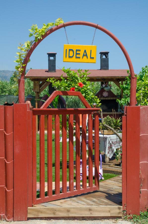 Ideal דירה *